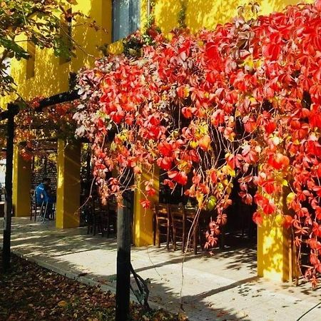 Cascina Bosco Gerolo Villa ริแวร์กาโร ภายนอก รูปภาพ