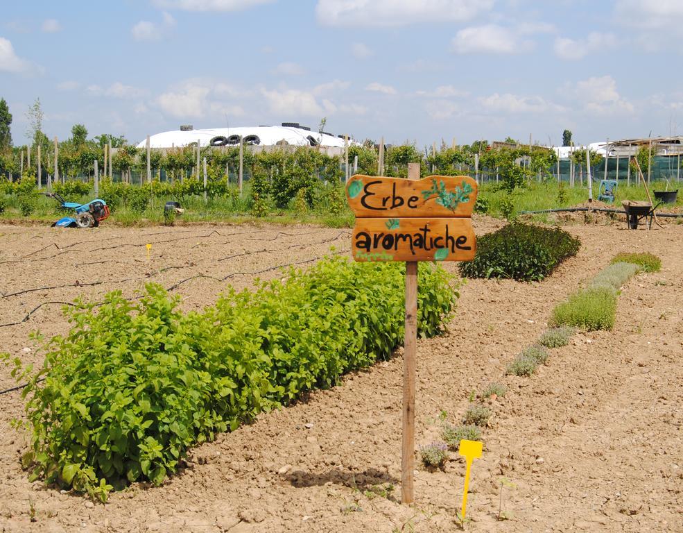 Cascina Bosco Gerolo Villa ริแวร์กาโร ภายนอก รูปภาพ